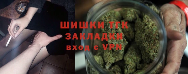 соль ск Пересвет
