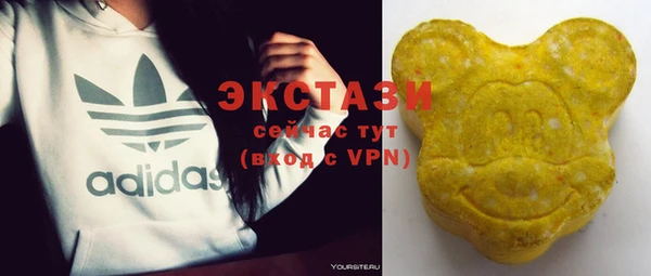 индика Покачи