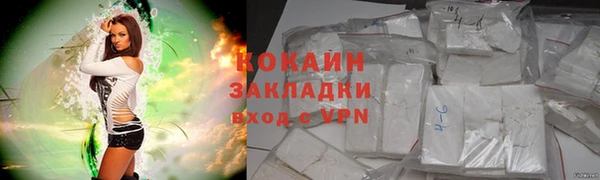 индика Покачи