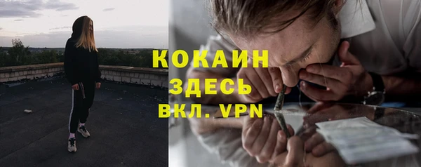 индика Покачи