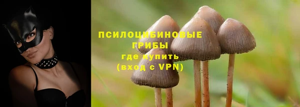 винт Пестово