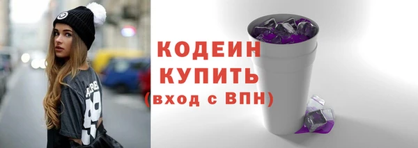 индика Покачи