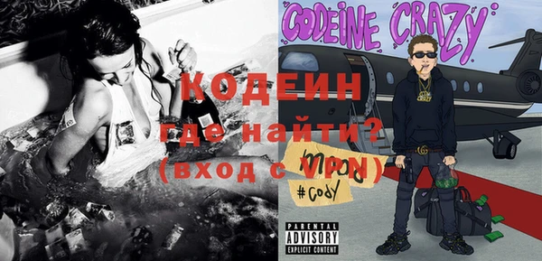 индика Покачи