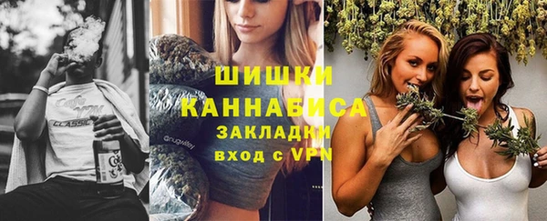 индика Покачи