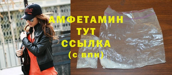 индика Покачи