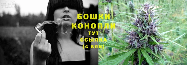 соль ск Пересвет