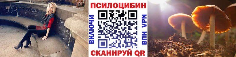 хочу   Балабаново  Псилоцибиновые грибы Cubensis 