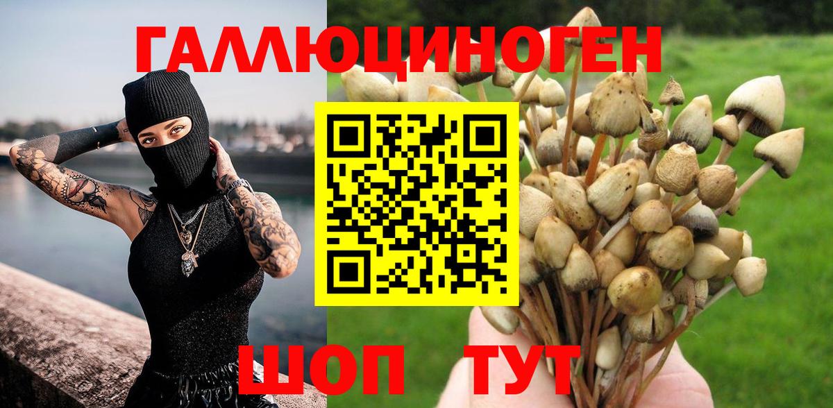 Псилоцибиновые грибы Magic Shrooms  Балабаново 