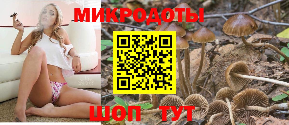 Псилоцибиновые грибы ЛСД Балабаново